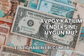 AVPGY Katılım Endeksine Uygun mu?