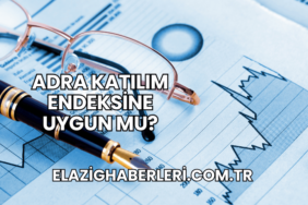 Adra Katılım Endeksine Uygun mu?
