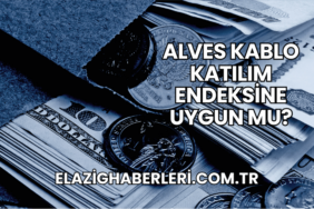Alves Kablo Katılım Endeksine Uygun mu?