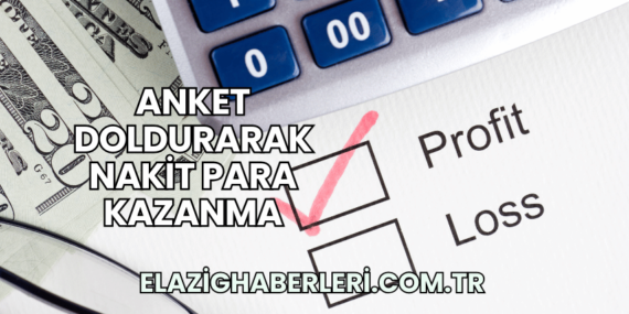 Anket Doldurarak Nakit Para Kazanma