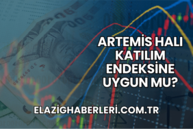 Artemis Halı Katılım Endeksine Uygun mu?