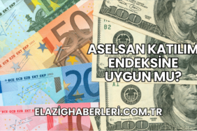 Aselsan Katılım Endeksine Uygun mu?