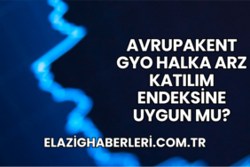 Avrupakent GYO Halka Arz Katılım Endeksine Uygun mu?