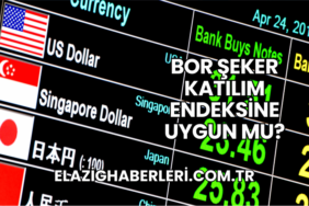 Bor Şeker Katılım Endeksine Uygun mu?