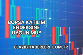 Borsa Katılım Endeksine Uygun mu?