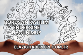 Borusan Katılım Endeksine Uygun mu?
