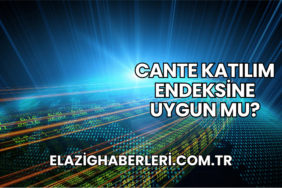 CANTE Katılım Endeksine Uygun mu?