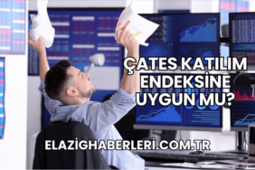 ÇATES Katılım Endeksine Uygun mu?