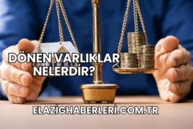 Dönen Varlıklar Nelerdir?