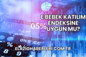 E Bebek Katılım Endeksine Uygun mu?