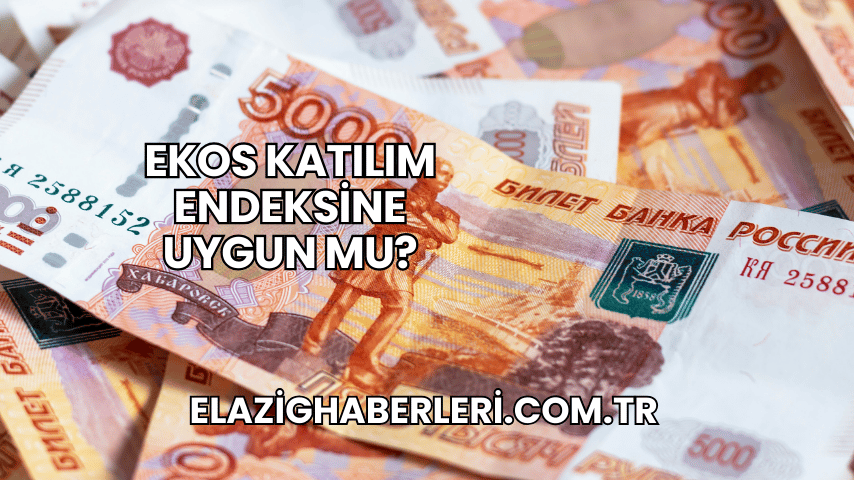 Ekos Katılım Endeksine Uygun mu?