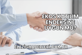 Ekos Katılım Endeksine Uygun mu?
