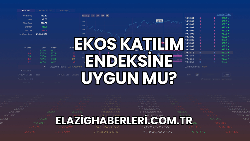 Ekos Katılım Endeksine Uygun mu?