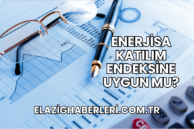 Enerjisa Katılım Endeksine Uygun mu?