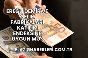 Ereğli Demir ve Çelik Fabrikaları Katılım Endeksine Uygun mu?