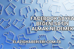 Facebook Sayfa Beğeni Satın Almak Ne Demek
