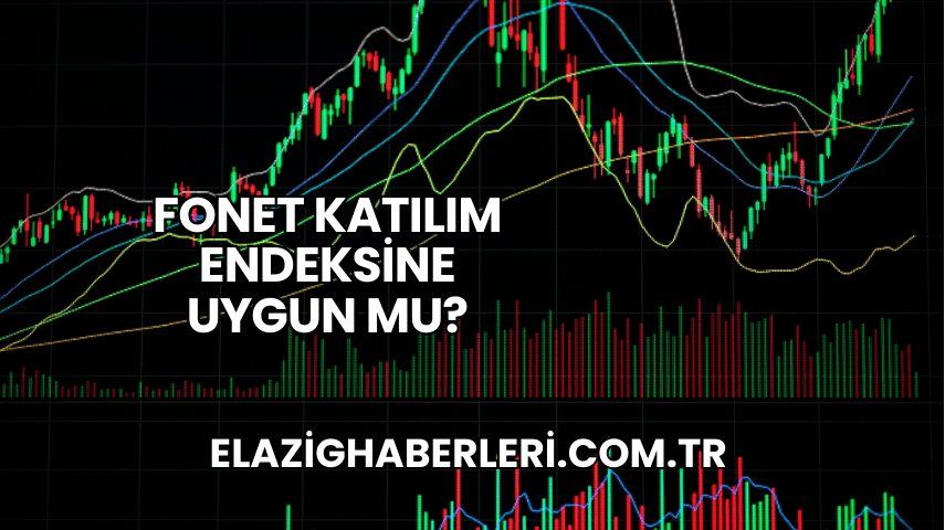 Fonet Katılım Endeksine Uygun mu?