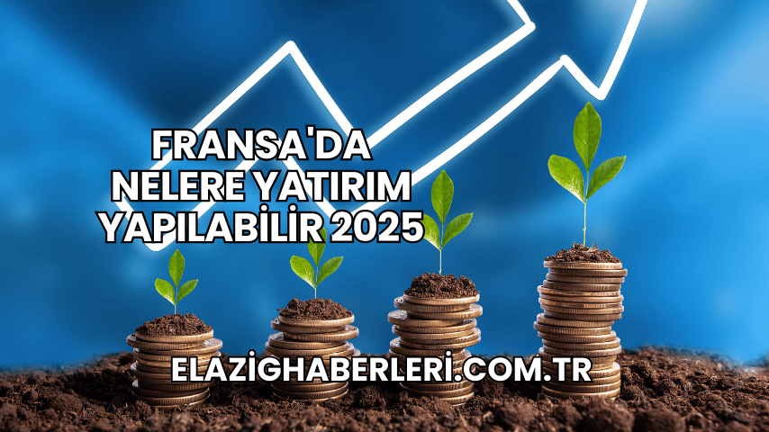Fransa'da Nelere Yatırım Yapılabilir 2025