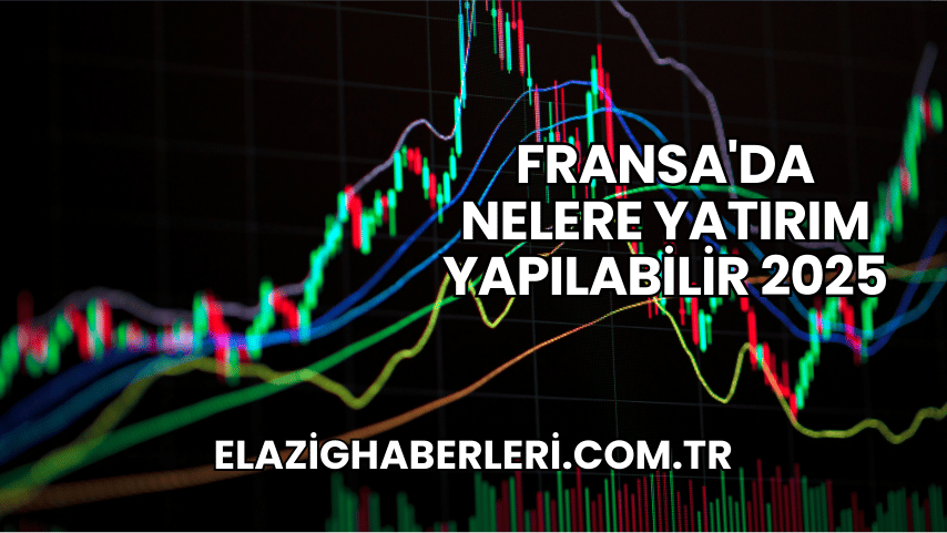 Fransa'da Nelere Yatırım Yapılabilir 2025