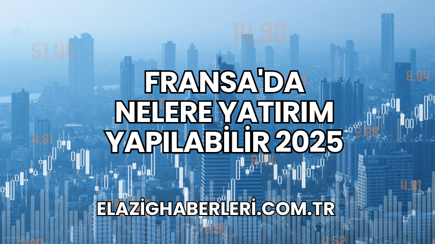 Fransa'da Nelere Yatırım Yapılabilir 2025