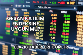 GESAN Katılım Endeksine Uygun mu?
