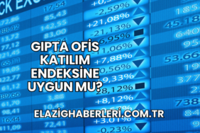 Gıpta Ofis Katılım Endeksine Uygun mu?