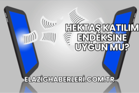 Hektaş Katılım Endeksine Uygun mu?