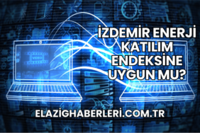 İZDEMİR Enerji Katılım Endeksine Uygun mu?