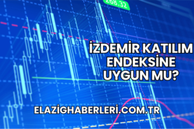 İzdemir Katılım Endeksine Uygun mu?