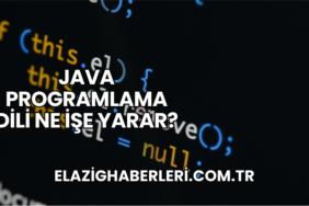 Java Programlama Dili Ne İşe Yarar?
