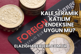 Kale Seramik Katılım Endeksine Uygun mu?
