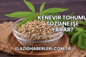 Kenevir Tohumu Tozu Ne İşe Yarar?