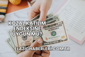 Kozal Katılım Endeksine Uygun mu?