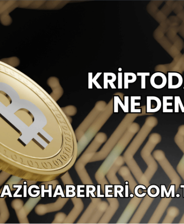 Kriptoda Alfa Ne Demek?