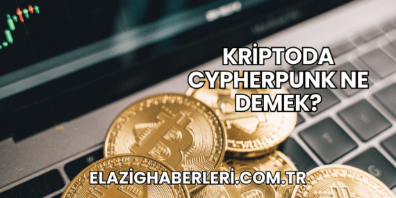 Kriptoda Cypherpunk Ne Demek?