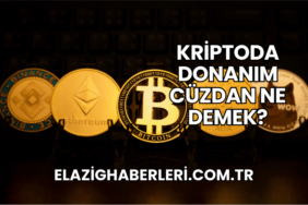 Kriptoda Donanım Cüzdan Ne Demek?
