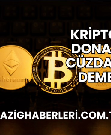 Kriptoda Donanım Cüzdan Ne Demek?