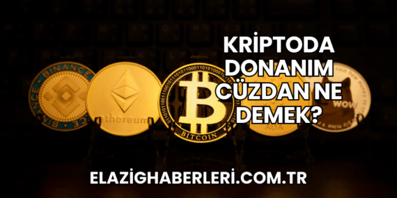 Kriptoda Donanım Cüzdan Ne Demek?