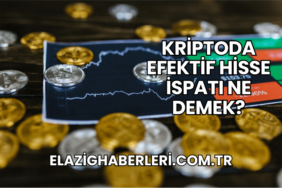 Kriptoda Efektif Hisse İspatı Ne Demek?