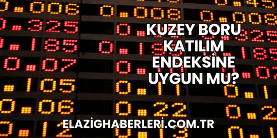 Kuzey Boru Katılım Endeksine Uygun mu?