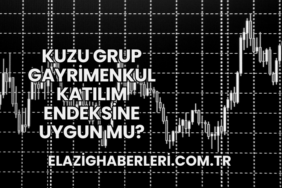 Kuzu Grup Gayrimenkul Katılım Endeksine Uygun mu?
