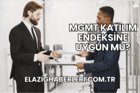 MGMT Katılım Endeksine Uygun mu?