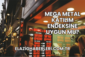 Mega Metal Katılım Endeksine Uygun mu?