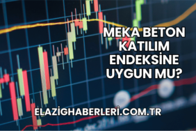 Meka Beton Katılım Endeksine Uygun mu?