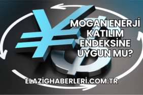 Mogan Enerji Katılım Endeksine Uygun mu?