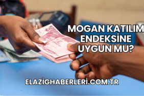 Mogan Katılım Endeksine Uygun mu?