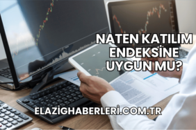 Naten Katılım Endeksine Uygun mu?