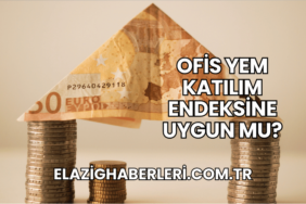 Ofis Yem Katılım Endeksine Uygun mu?