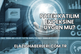 Patek Katılım Endeksine Uygun mu?