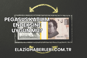 Pegasus Katılım Endeksine Uygun mu?